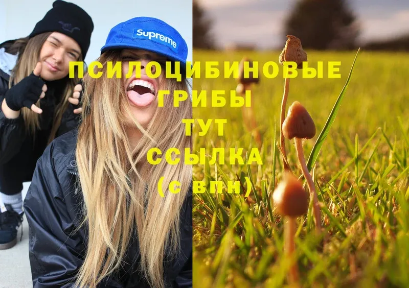 Галлюциногенные грибы Psilocybine cubensis  ссылка на мегу вход  Изобильный 